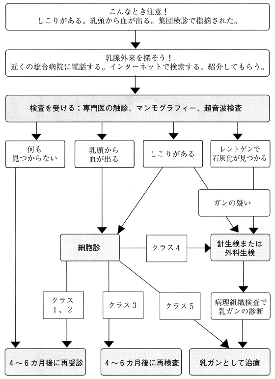 乳がんの診断法（図）