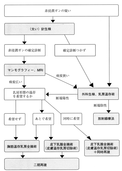 非浸潤がんの診断と治療（図）