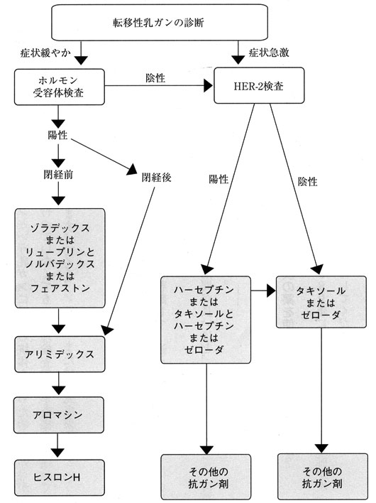 遠隔転移が見つかったときの治療法の選択（私案）（図）